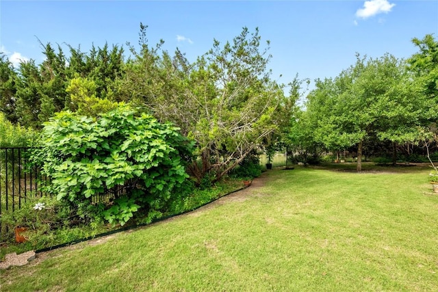 114 Hazelnut Ct, Driftwood, TX 78619 - view of yard