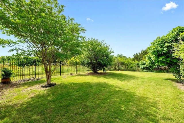 114 Hazelnut Ct, Driftwood, TX 78619 - view of yard