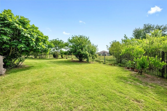 114 Hazelnut Ct, Driftwood, TX 78619 - view of yard