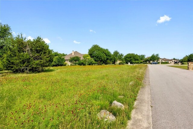 114 Hazelnut Ct, Driftwood, TX 78619 - view of asphalt road