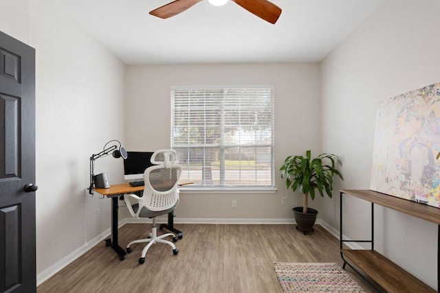 office space with ceiling fan, baseboards, and wood finished floors