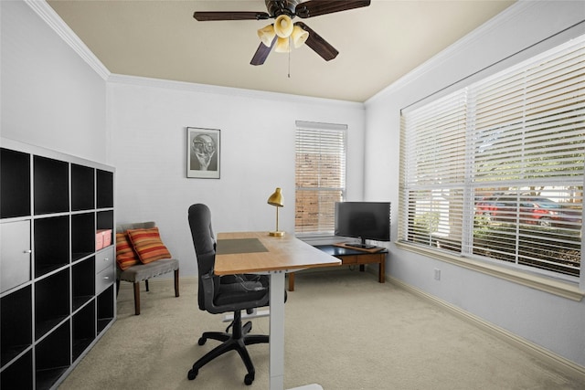 office with a ceiling fan, carpet, baseboards, and crown molding