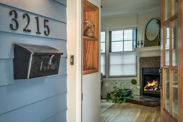 interior space featuring ornamental molding and a fireplace