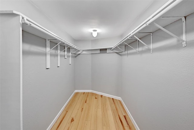 spacious closet featuring hardwood / wood-style flooring