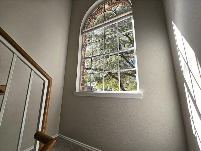4533 Corran Ferry Loop, Austin, TX 78749 - stairway featuring baseboards and carpet