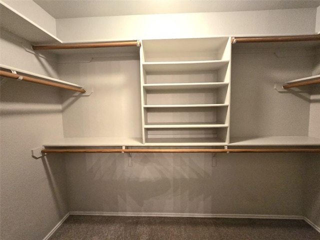 4533 Corran Ferry Loop, Austin, TX 78749 - spacious closet featuring dark colored carpet