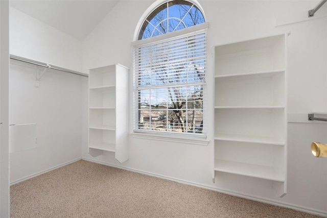 walk in closet featuring vaulted ceiling and carpet