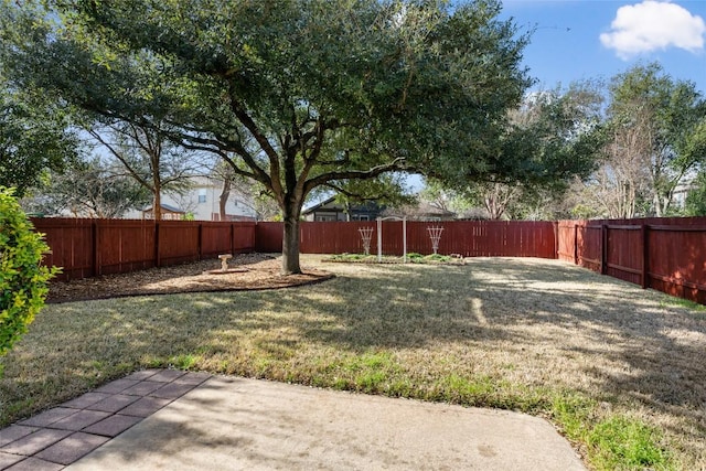 view of yard with a patio and a fenced backyard