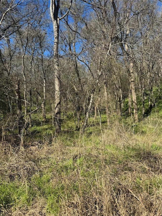 LOTS638.639.640 Kaukonahua Ln, Bastrop TX, 78602 land for sale