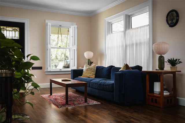 living room featuring crown molding, baseboards, and wood finished floors