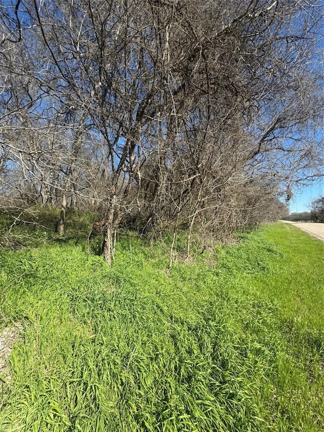 Listing photo 3 for LOT961 Riverside Dr, Bastrop TX 78602