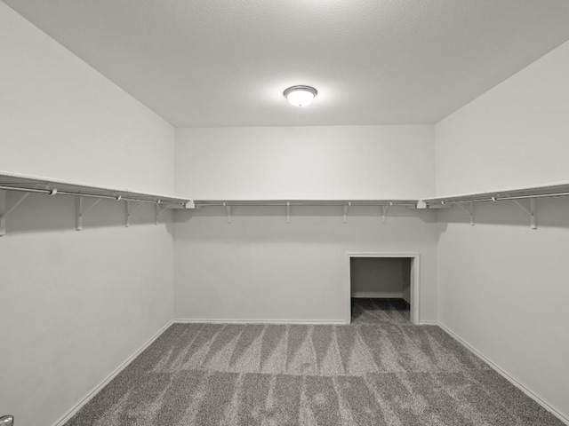 spacious closet with carpet