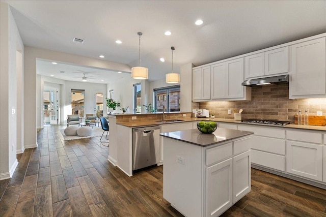 kitchen with appliances with stainless steel finishes, open floor plan, backsplash, under cabinet range hood, and a sink