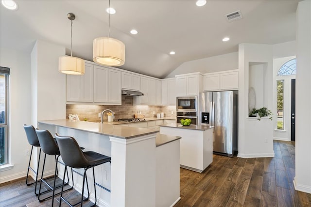 kitchen with under cabinet range hood, plenty of natural light, stainless steel appliances, and decorative backsplash