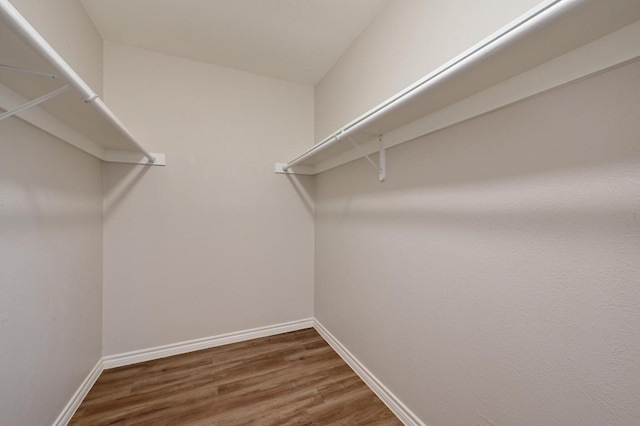 walk in closet with wood finished floors