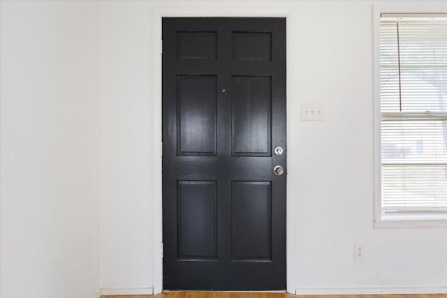 foyer entrance featuring a wealth of natural light