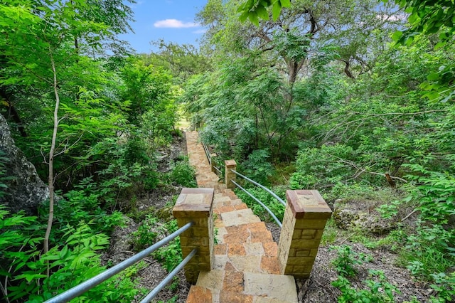 view of yard featuring a wooded view