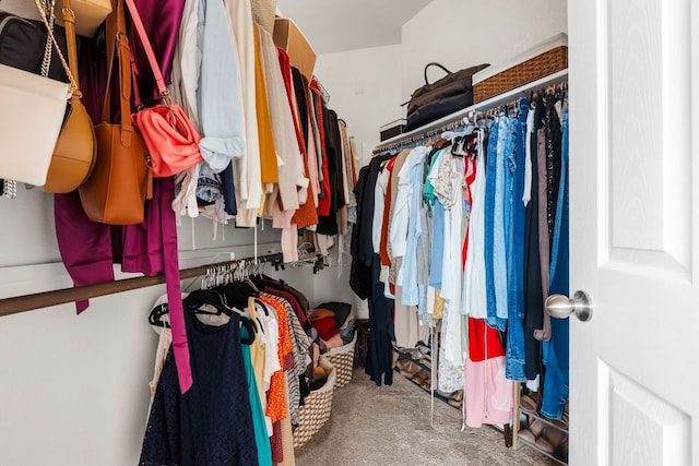 spacious closet featuring carpet floors