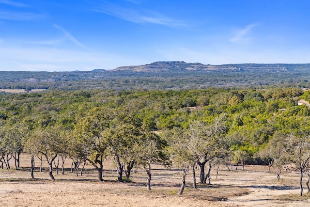 10201 Fm 2325th Rd Tract B, Unit Tract B, Wimberley TX, 78676 land for sale