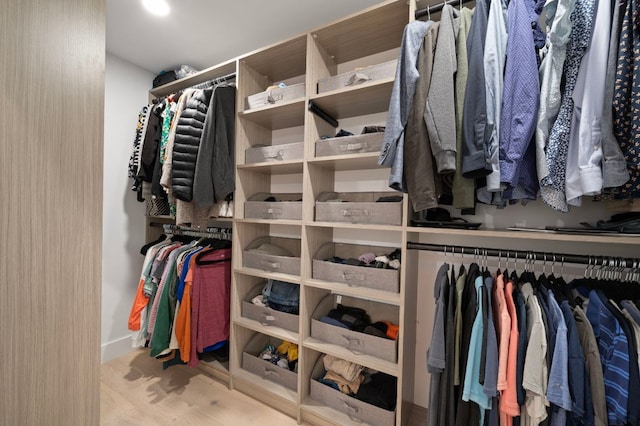 view of walk in closet