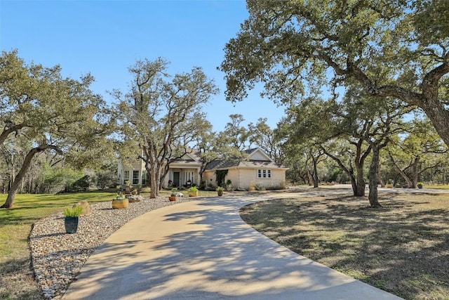 view of front facade featuring concrete driveway and a front yard