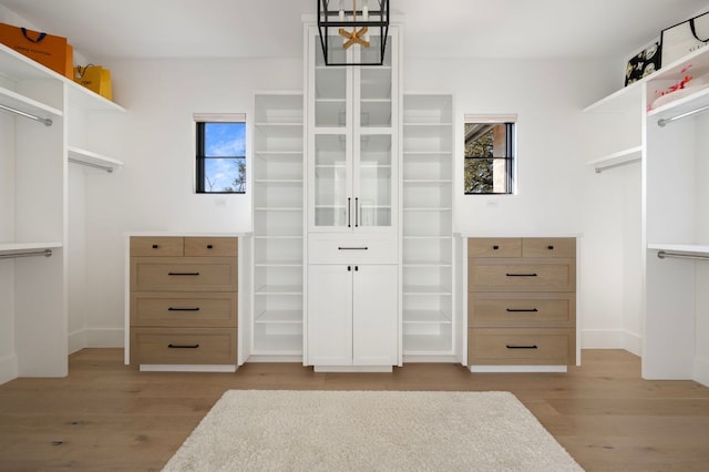 spacious closet featuring light wood-style flooring