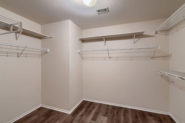 walk in closet featuring dark wood-type flooring and visible vents