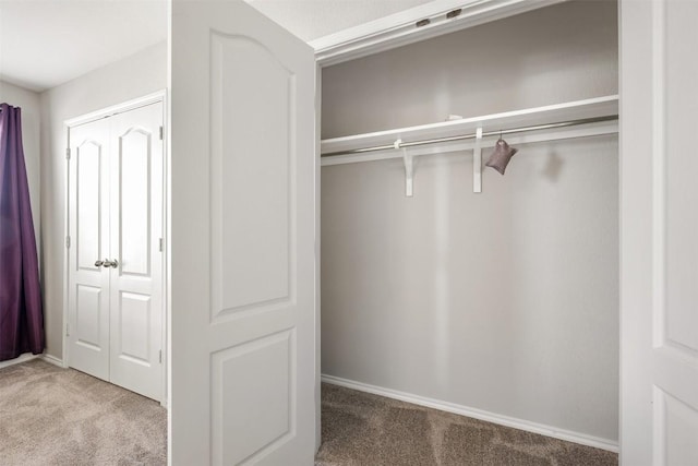 2950 E Old Settlers Blvd Unit 55, Round Rock, TX 78665 - view of closet