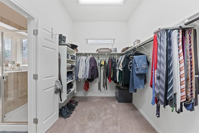 walk in closet with carpet floors