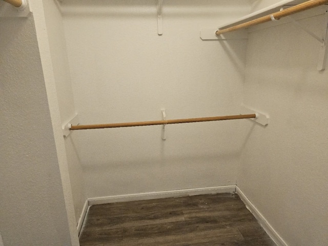 spacious closet with dark wood-style flooring