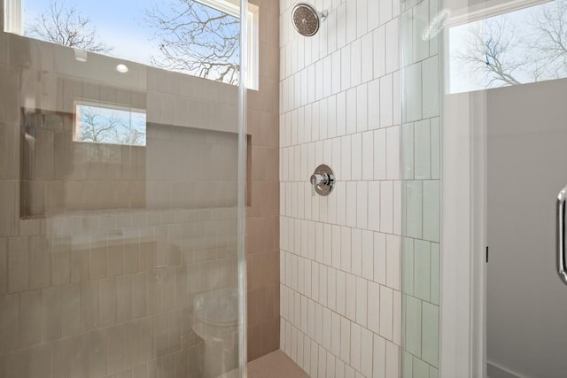 full bathroom featuring a shower stall