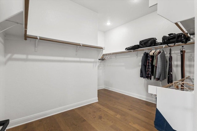 spacious closet featuring wood finished floors