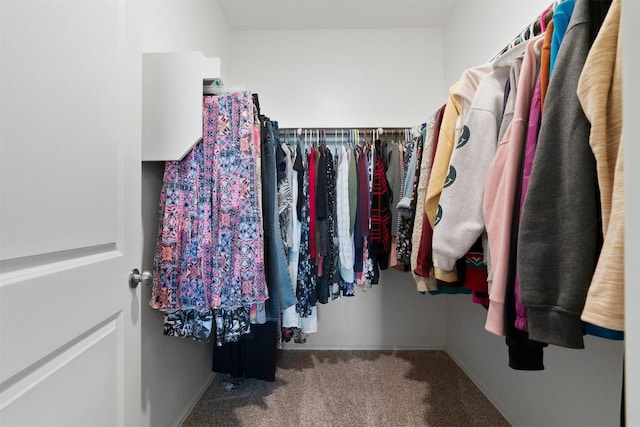 walk in closet with carpet