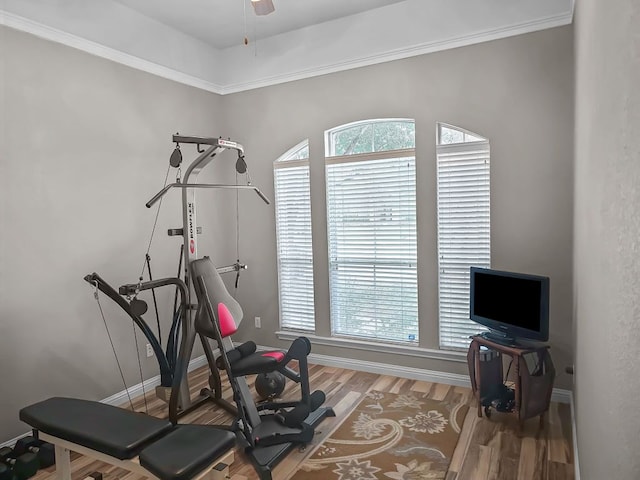 exercise area with ornamental molding, wood finished floors, a ceiling fan, and baseboards