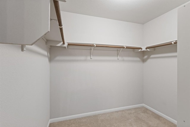 spacious closet with carpet floors