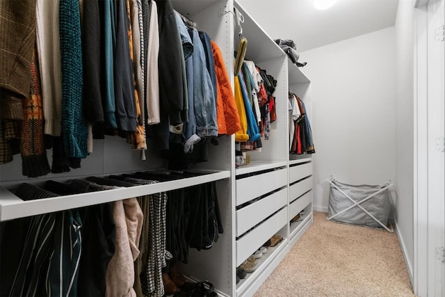 walk in closet with carpet floors