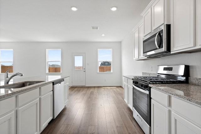 kitchen with a wealth of natural light, stainless steel appliances, a sink, and wood finished floors