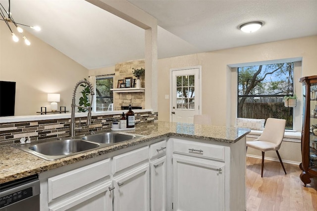 kitchen with a healthy amount of sunlight, a sink, backsplash, and stainless steel dishwasher