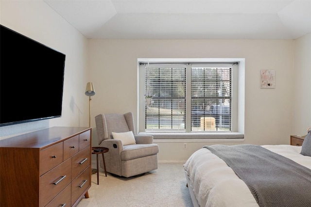 bedroom with multiple windows and light carpet