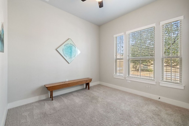 carpeted empty room with a ceiling fan, a wealth of natural light, and baseboards