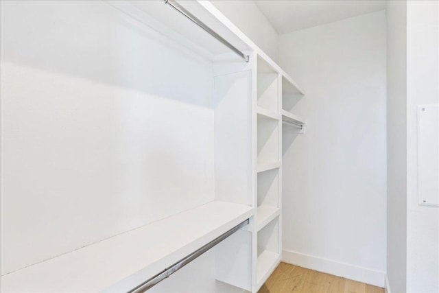 spacious closet featuring light wood finished floors