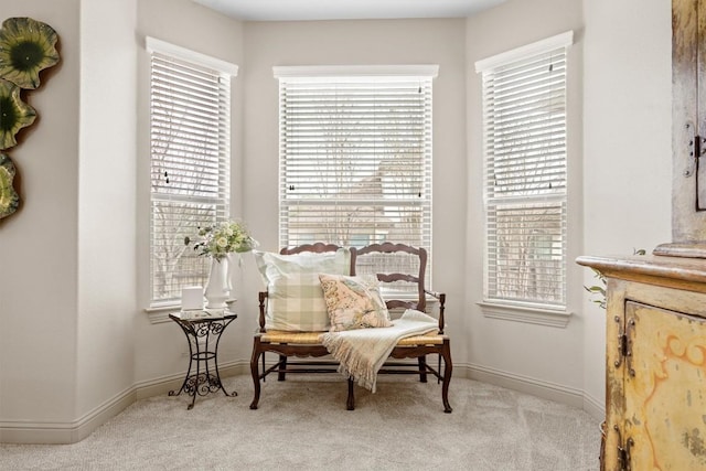 1428 Rowan Dr, Georgetown, TX 78628 - sitting room featuring carpet floors and healthy amount of natural light
