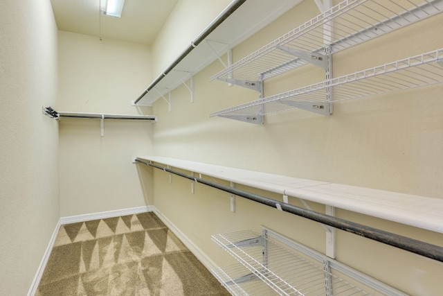 804 San Remo Blvd Unit 26B, Lakeway, TX 78734 - walk in closet with carpet flooring