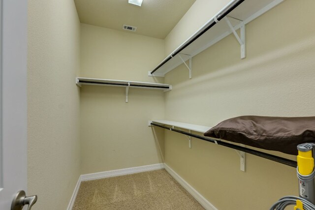 804 San Remo Blvd Unit 26B, Lakeway, TX 78734 - walk in closet with light carpet