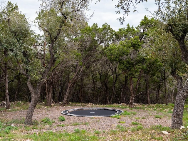 view of yard featuring a trampoline and a view of trees