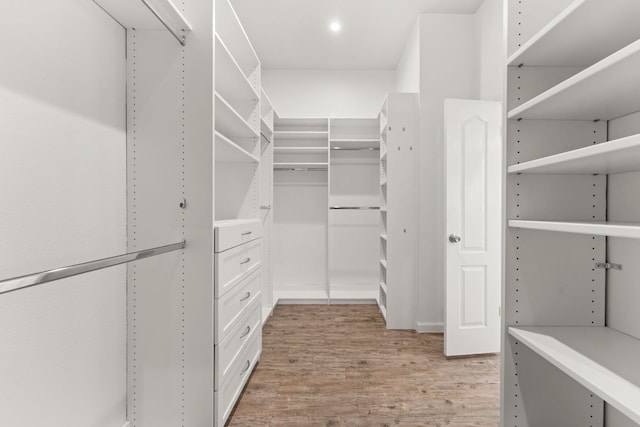 spacious closet featuring light wood finished floors