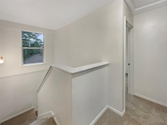 stairway with carpet floors and baseboards