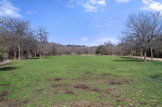 2210 Pearl St Unit 301, Austin, TX 78705 - photo 38