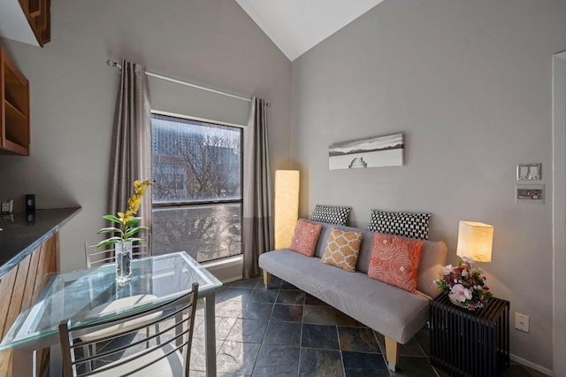 living room with vaulted ceiling and stone finish floor