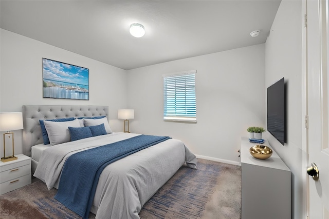 112 Quarton Dr, Hutto, TX 78634 - bedroom featuring baseboards and carpet flooring